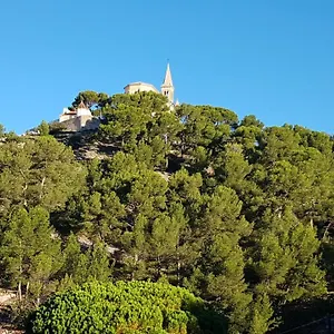  Hébergement de vacances Sous L'olivier